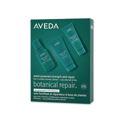 Aveda Botanical Repair Fortifying Trio Kit