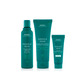 Aveda Set Botanical Repair Limited Edition